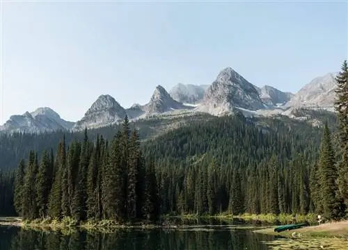 Сезон грязи