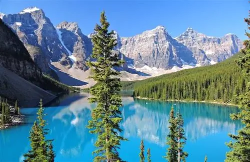 национальные парки Канады - как в Ревелстоке