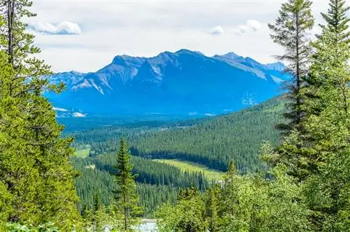 горы и долина с деревьями в западной канаде