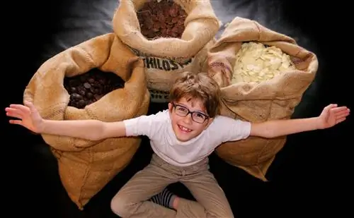 Musee Gourmand Du Chocolat в Париже