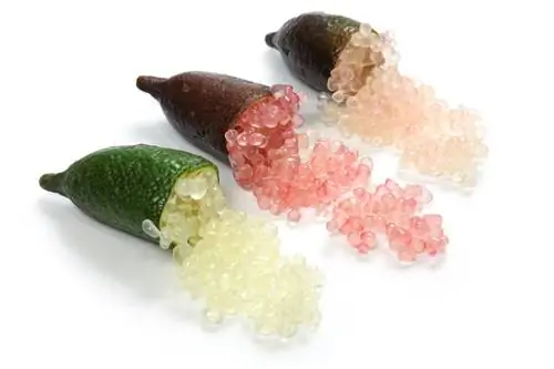 Лаймы с открытыми пальцами