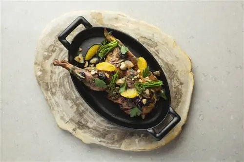 Моури и хлопковый фазан