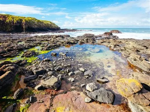 Погрузитесь в бирюзовые воды бассейнов Флиндерс-Рок, недалеко от Мельбурна