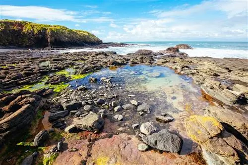 Туристическая достопримечательность Flinders Bowl newar Флиндерс скальные бассейны