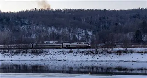 Эта поездка на Amtrak - идеальный зимний отдых для людей, которые не хотят выходить на улицу