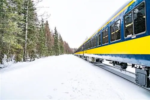 Поезд Аляски зимой с желтой полосой