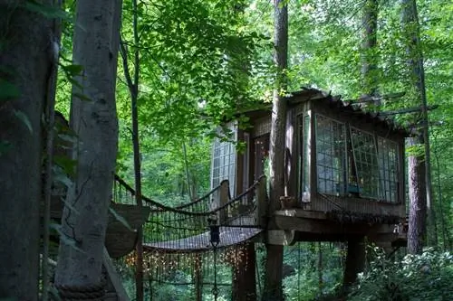 домики на деревьях на airbnb