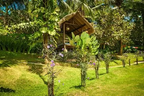 домики на деревьях на airbnb