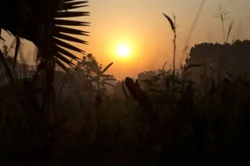 Борьба с синдромом «кто я?»