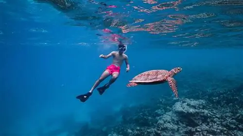 Одним из лучших курортов на Мальдивах является курорт и спа Meeru Island на Мальдивах.