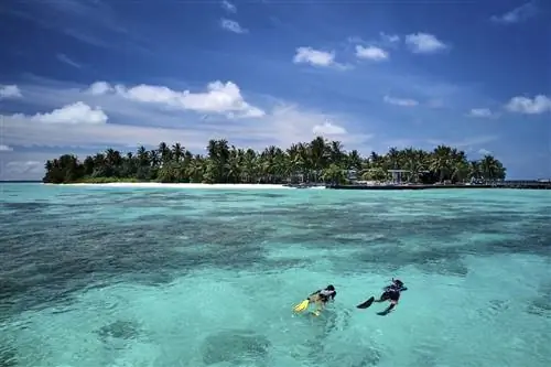 Люди ныряют с маской на Raffles Maldives Meradhoo, одном из курортов Мальдив.