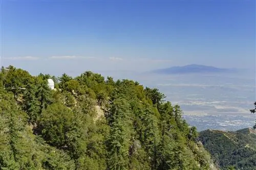 Что делать в Пасадене: посетить обсерваторию Маунт-Вилсон