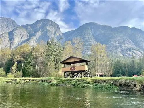 площадка для наблюдения за дикой природой с воды в лодже Tweedsmuir Park Lodge
