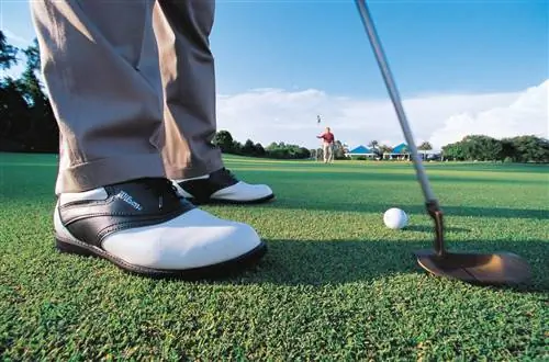 Гольф Сарасота Флорида