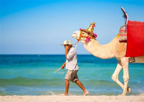 11 истерзанных войной регионов готовятся к туризму