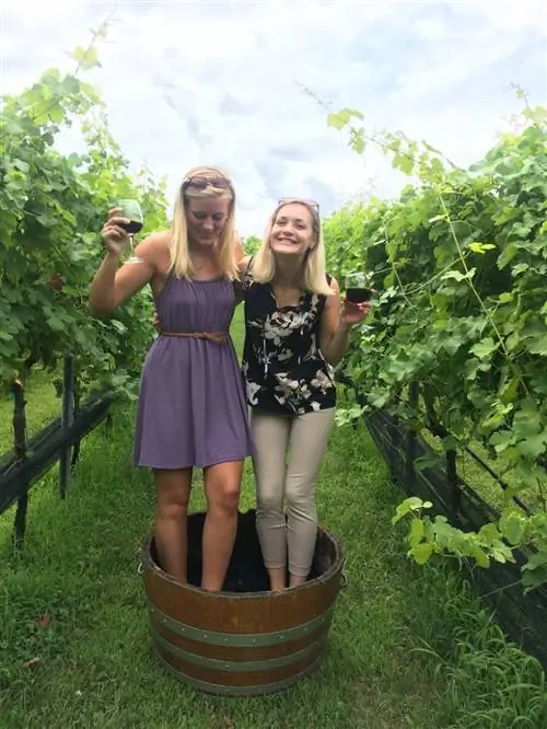 Потомакская винодельня Фредериксбург