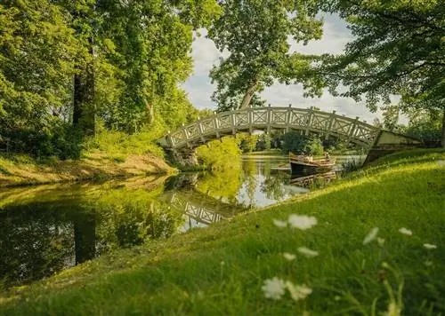 Займитесь экологией в Германии: 6 идеальных мест для любителей природы