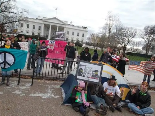 Оккупай и политика Гута