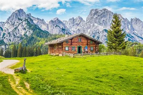 Шале в Альпах Шале в Альпах