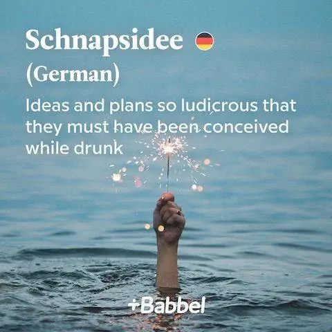 Schnapsidee немецкое слово