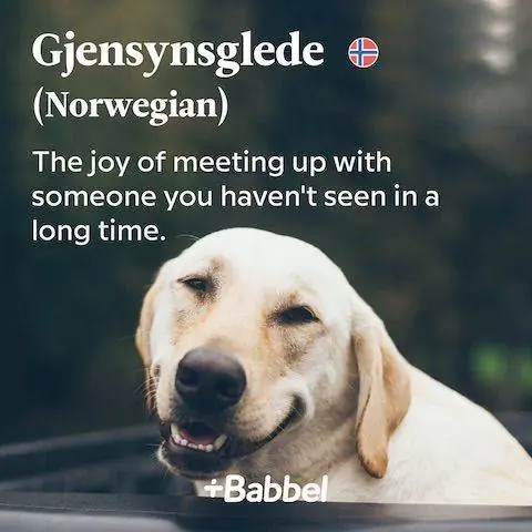 Gjensynsglede норвежское слово