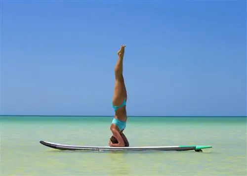 5 новых тенденций в велнес-туризме, которые стоит попробовать этим летом