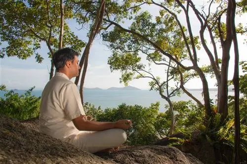 оздоровительные тренды