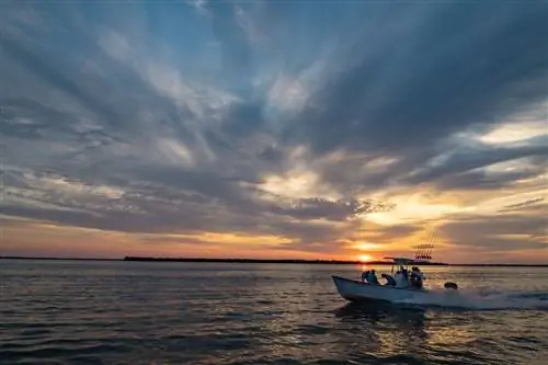 Ловля тарпона