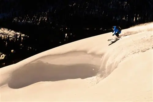 Хронология катания на лыжах по пересеченной местности в национальном парке Джаспер