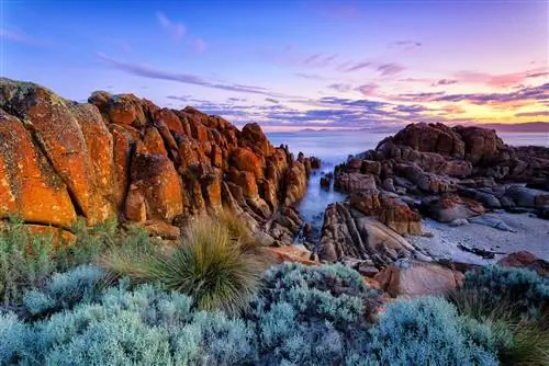 Бухта огней в Тасмании