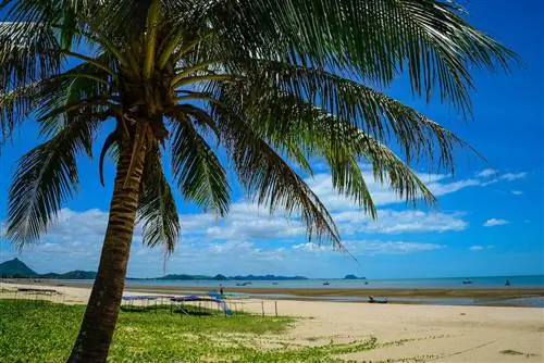 Пляж Лаем Сала Таиланд