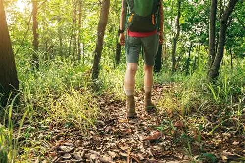 Женщина в шортах с длинным внутренним швом