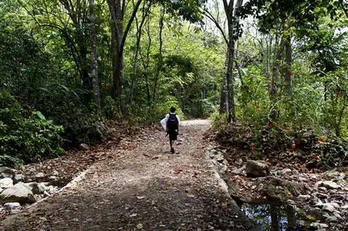 Коста-Рика - это то, что вы из этого делаете