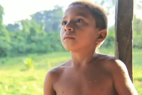 Рио-Платано: вторжение со всех сторон