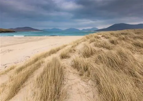 Тропические острова – отстой. Вместо этого отправляйтесь на эти 7 островов