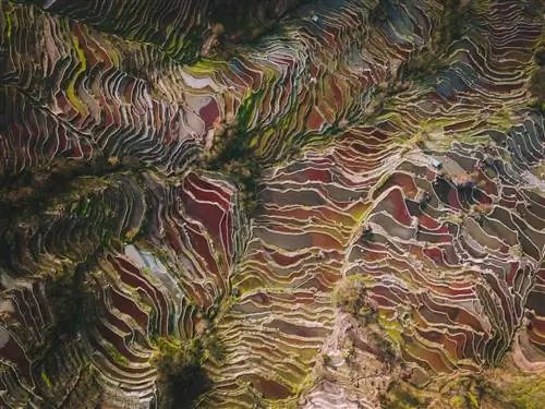 10 удивительных фотографий самых невероятных рисовых террас Китая