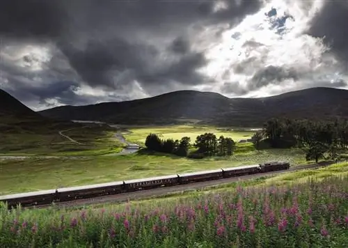 9 роскошных поездок на поезде, которые превзойдут любой полет первого класса