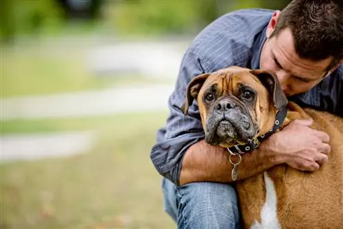 Как Google+ и Facebook спасли жизнь моей собаке