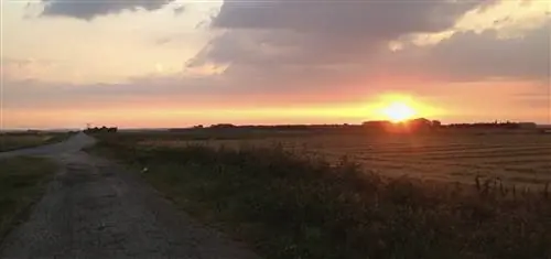 Лучшее, что есть в Питерборо, уходит