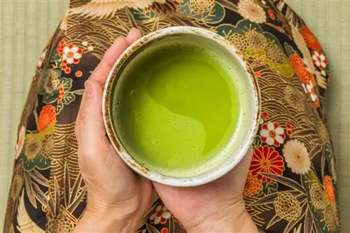 Церемония чая маття Япония