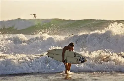 Что происходит, когда вы начинаете серфить