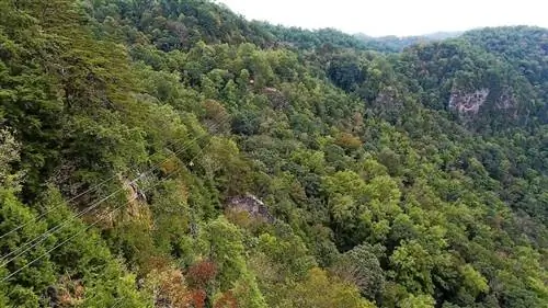 Преодолевает зиплайн в Вирджинии