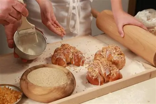 Познаньский музей