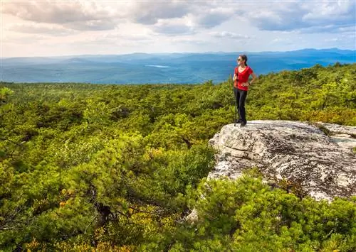 3 лучших незаметных однодневных поездки в Нью-Йорк