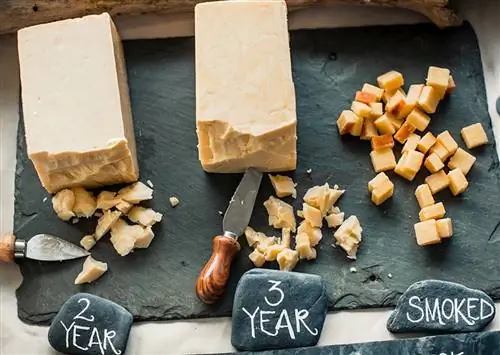 Полный список впечатлений для любителей сыра