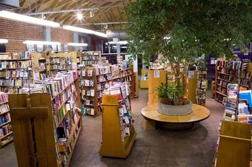 Книги в крыше