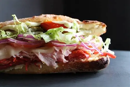 Субмарина Эйзенхауэра из Secret Sandwich Society