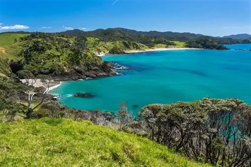 Bay Of Islands, Нортленд, Северный остров, Новая Зеландия
