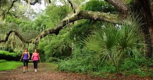 Каково это – останавливаться в Hilton Head He alth, одном из самых известных оздоровительных курортов Америки
