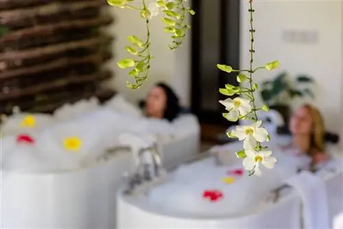 Sea Cliff Resort and Spa Zanzibar банные процедуры